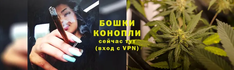 где купить   Жуков  hydra   Канабис сатива 